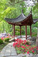 Chinese Garden in Hortus Haren 