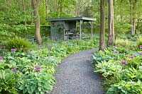 Ornamental foliage perennials in the shade 