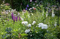 Rural garden with roses, peonies and foxgloves 
