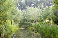 Willows on the banks, Salix 