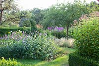 Beds with globe thistle and hemp agrimony, Echinops ritro, Eupatorium 