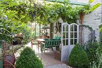 Terrace with wine, Vitis vinifera 