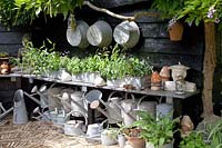 Collection of watering cans 