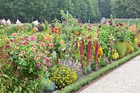 Beds with annual summer flowers, Paleis Het Loo, Netherlands 