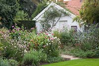 Garden in September, Zinnia, Cleome 