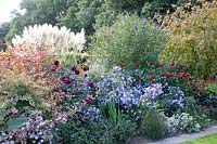 Perennial bed with shrubs in September, Miscanthus, Dahlia, Aster Marie Ballard, Buddleja davidii, Euonymus europaeus 