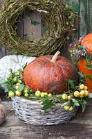 Decoration with pumpkin and ornamental apples, Cucurbita, Malus 