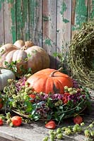 Wreath with pumpkin, Cucurbita 