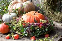 Wreath with pumpkin, Cucurbita 