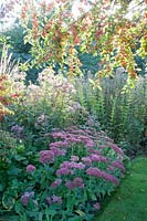 Bed with agrimony and stonecrop, Eupatorium, Sedum Herbstfreude 