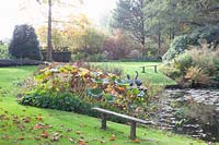 Autumn at the garden pond 