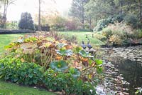 Autumn at the garden pond 