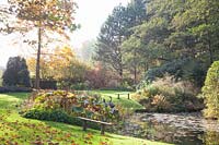 Autumn at the garden pond 