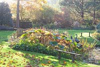 Autumn at the garden pond 