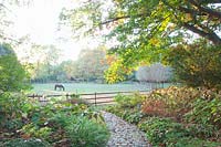 View of the landscape garden 