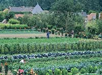 Kasteel Hex, vegetable garden 