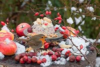 Small bird feeder cake with robin 