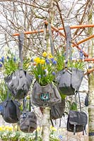 Bulb flowers in painted bags 
