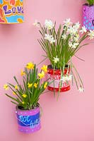 Bulb flowers in painted tins 