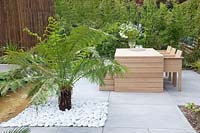 Modern terrace with tree fern, Dicksonia antarctica 