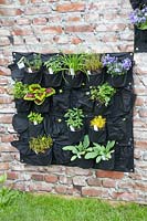 Vertical gardening with plant bags 