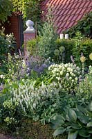 Perennial border, Nepeta faassenii Walkers Low, Trifolium ochroleucha, Salvia nemorosa Adrian 