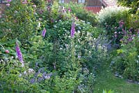 Perennial bed and roses 