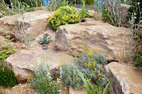 Garden with rocks 