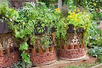 Insect hotel with tomatoes, nasturtiums and herbs, Solanum lycopersicum, Tropaeolum majus 