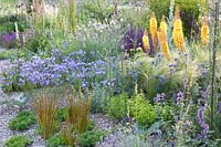 Gravel garden, Eremurus x isabellinus Pinokkio, Eryngium bourgatii Picos Amethyst, Nasella tenuissima 