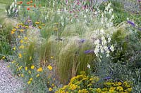 Gravel garden, Nasella tenuissima, Sedum, Achillea Schwellenburg, Linaria purpurea 