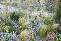 Gravel garden, Nasella tenuissima, Artemisia; Verbena bonariensis 