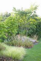 Bed with autumn head grass, Sesleria autumnalis, Persicaria amplexicaulis Alba 