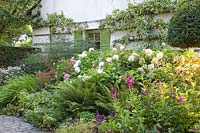 Front garden with shrubs, perennials and pear espalier 