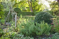 Herb garden, Rosmarinus officinalis 