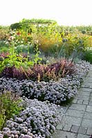 Vegetable garden with edging of mountain leek, Allium senescens 