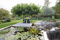 Modern pond with seating area under mulberry trees, Morus alba Macrophylla 