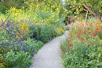 Path in the autumn garden, Salvia, Dahlia Honka Red, Helianthus 