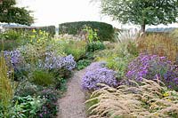 Autumn bed with Aster, Stipa calamagrostis, Miscanthus sinensis Red Arrow, Molinia caerulea 