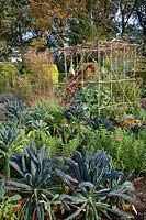 Vegetable garden in autumn 