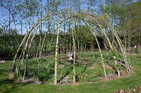 Willow arbor in spring 