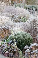 Bed with yew ball in frost 