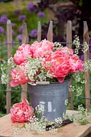 Bouquet with peonies and cow parsley, Paeonia lactiflora Coral Charm, Anthriscus sylvestris 