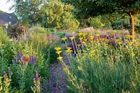 Natural garden with yarrow, sage and catnip, Achillea filipendula Coronation Gold, Salvia nemorosa Caradonna, Nepeta 