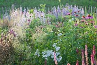 Bed with Perovskia atriplicifolia Little Spire 