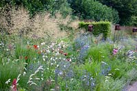 Bed with giant feather grass and sea litter, Stipa gigantea, Eryngium planum 