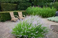 Seating area with Candelabra speedwell, Veronicastrum virginicum Lavender tower 