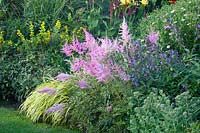 Astilbe japonica Mainz, Hakonechloa macra Aureola 