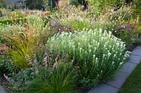 Small perennial bed 