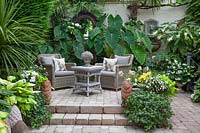 Seating area in a courtyard garden with arrow leaf in pots, Alocasia 